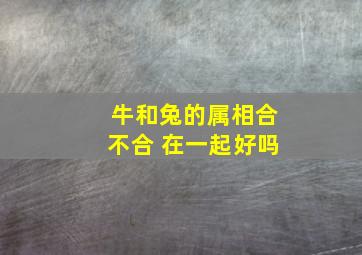 牛和兔的属相合不合 在一起好吗